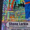 2024-25 Panini Donruss Euroleague Shane Larkin 021/275 #14