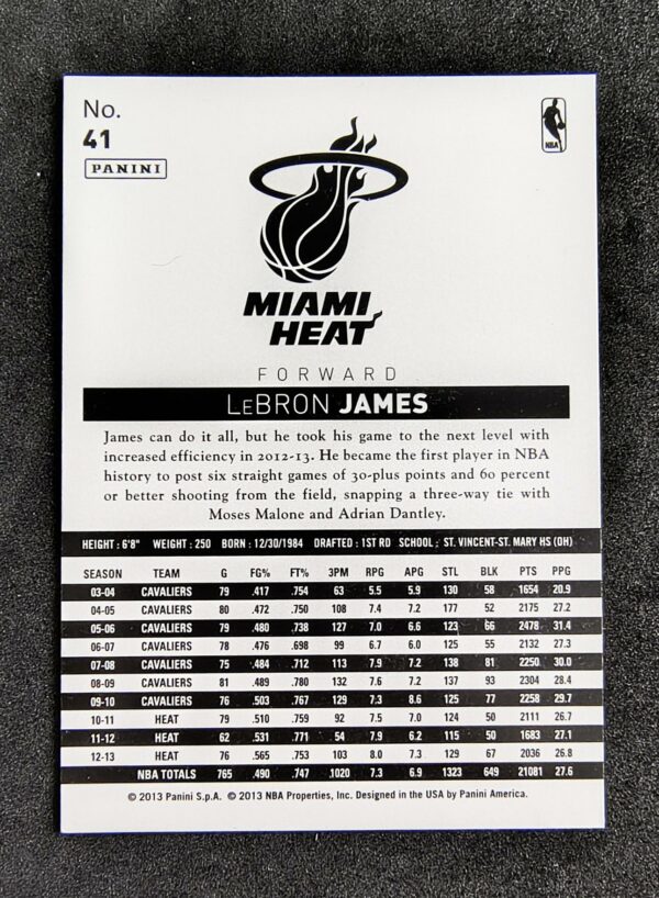 2013-14 Panini NBA International Lebron James #41