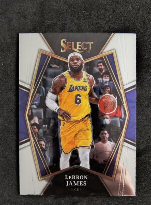 2021-22 Panini Select Lebron James Premier Level #195