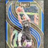2024-25 Panini Select Giannis Antetokounmpo #137 Premier Level Prizm