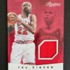 2013-14 Panini Prestige True Colors Taj Gibson Jersey